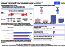 Relatório 1º Semestre 2026